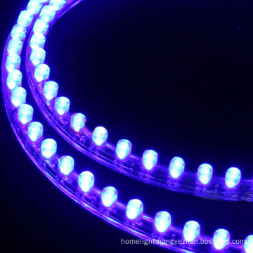 24cm/48cm/72cm/98cm/120cm 12V/24V DIP LED Flexible Strip for Car Lighting